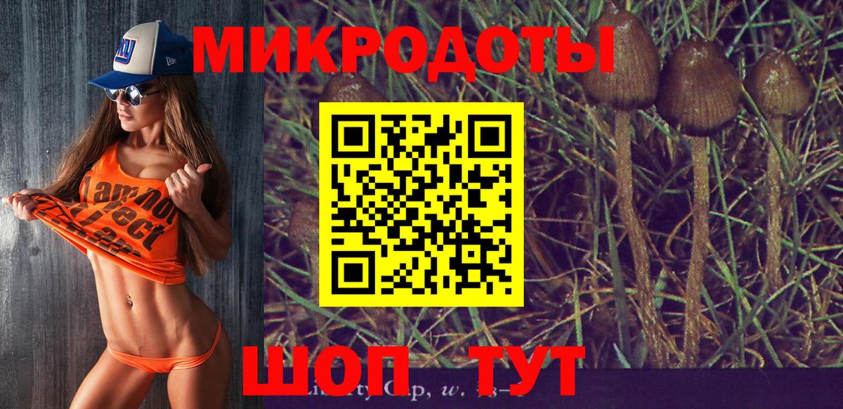 Карталы  Галлюциногенные грибы Cubensis  Вход с VPN  Псилоцибиновые грибы MAGIC MUSHROOMS 